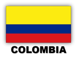 Servicios Empresariales Colombia