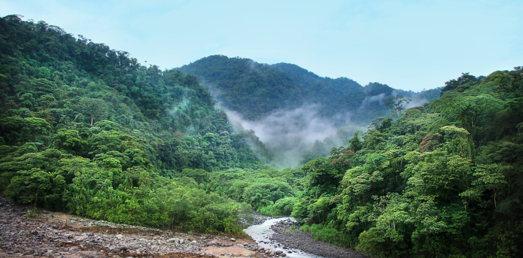 Economic Growth in Central America  