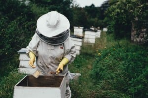 A person in protective beekeeping gear stands in a grassy area surrounded by beehives. The individual, potentially reflecting the early stages of formação da empresa, is holding tools and appears to be working with an open hive box. Trees and bushes are in the background.