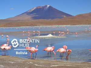 Uma paisagem cênica na Bolívia, com vários flamingos nadando em águas rasas e uma montanha ao fundo. A imagem tem o logotipo da Biz Latin Hub e o texto "Investment Opportunities Bolivia" sobreposto a ela.