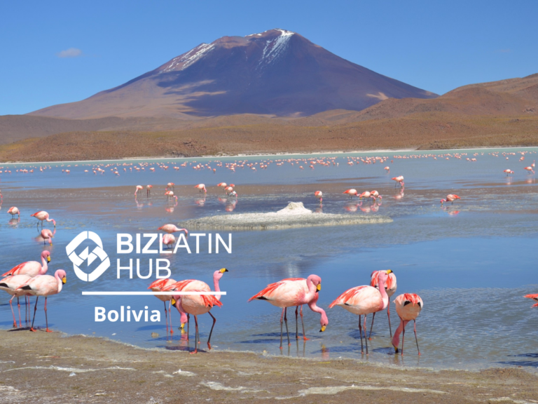 Un grupo de flamencos rosados se encuentra dentro y alrededor de las aguas poco profundas de un lago con una montaña al fondo. La imagen, que muestra "Oportunidades de inversión Bolivia", tiene una marca de agua que dice "BizLatin Hub, Bolivia".