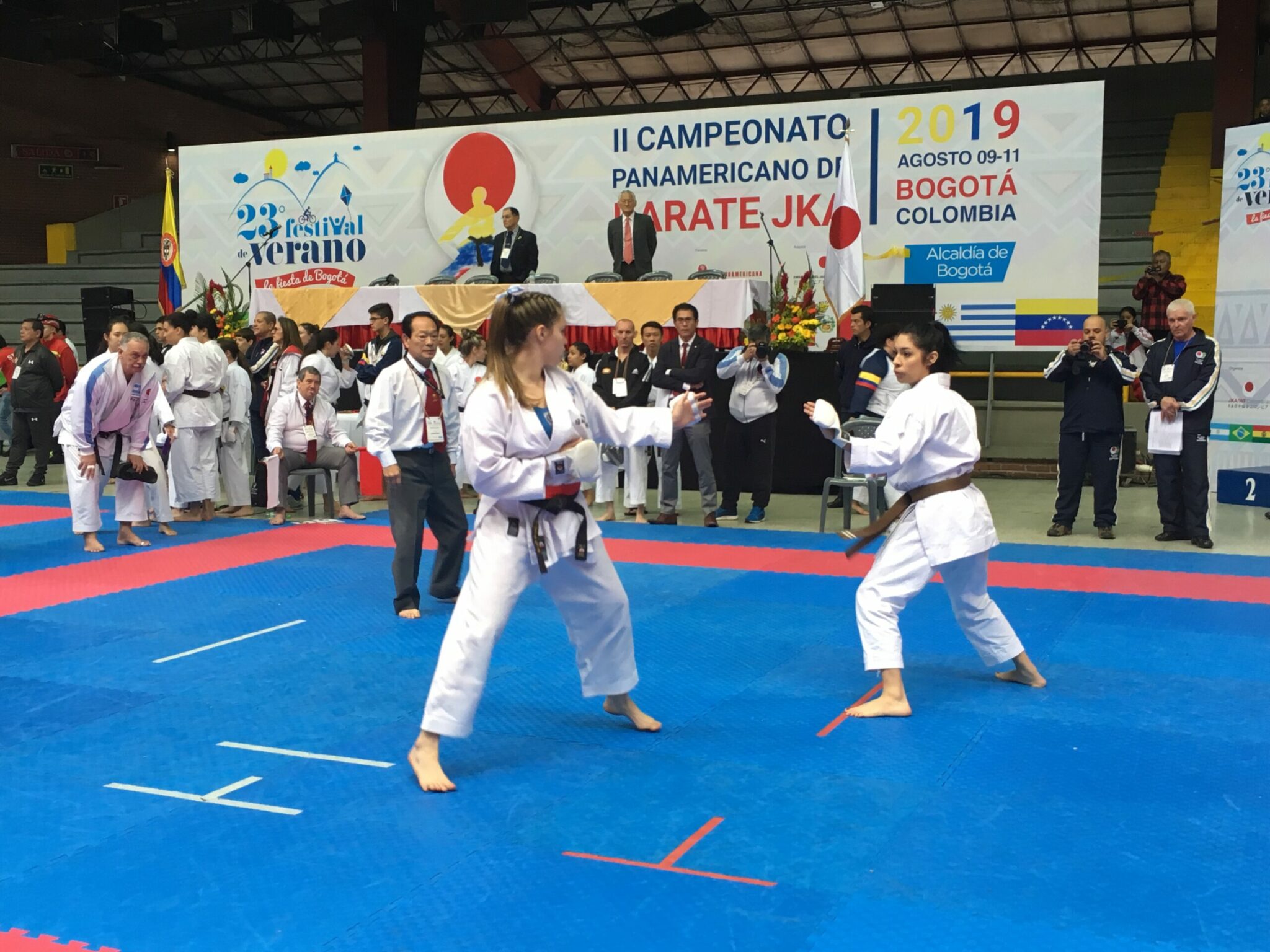 Campeonato Panamericano de Karatê