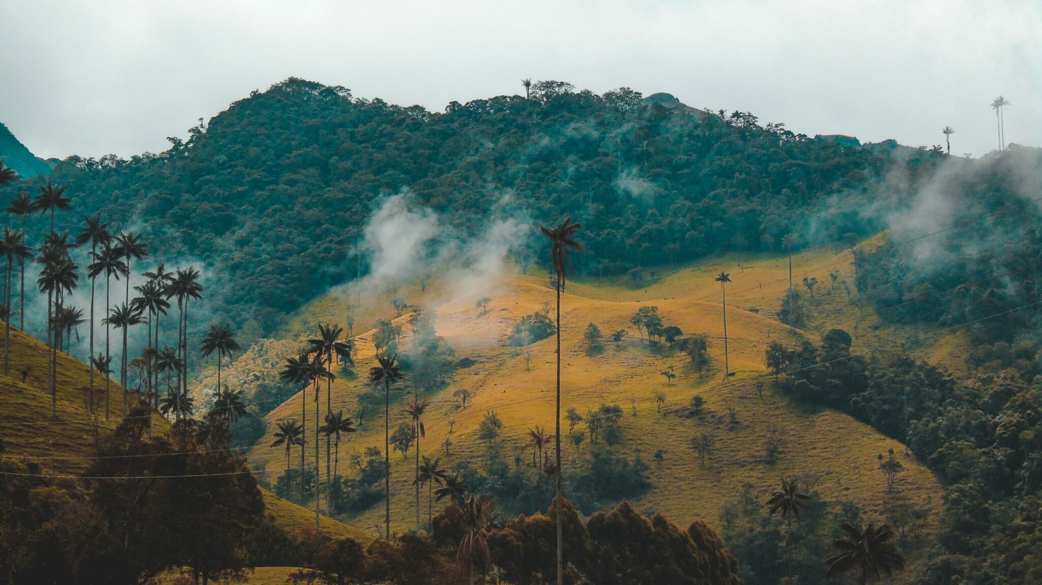 Colômbia Vale de Cocora