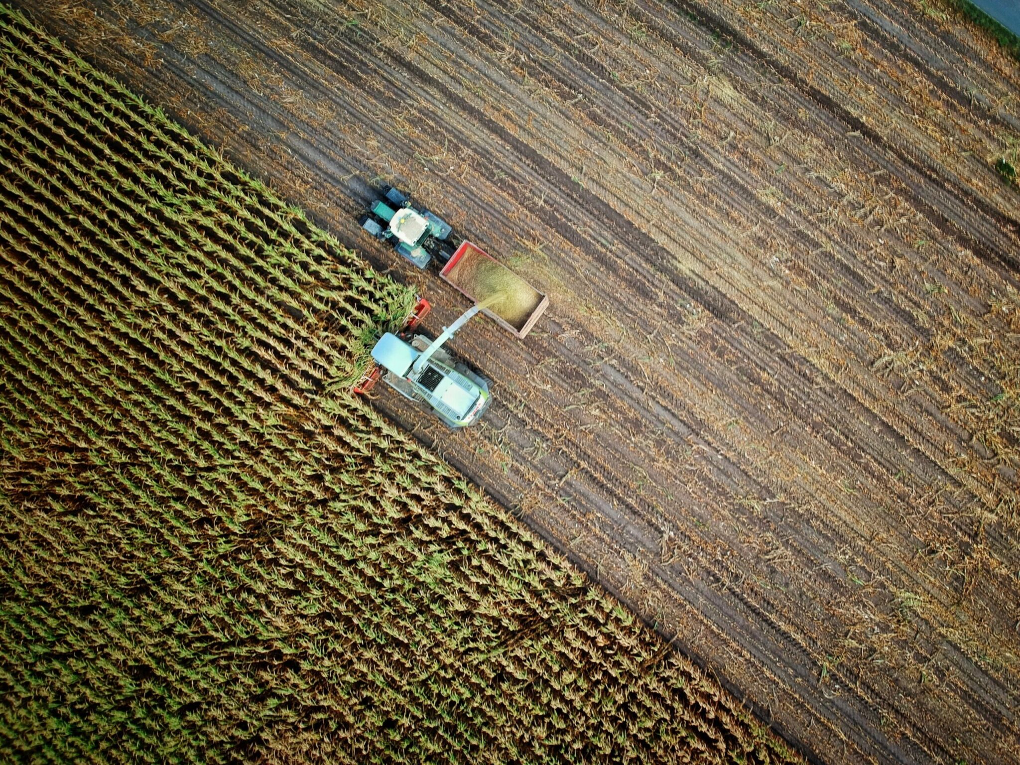 cooperação agrícola