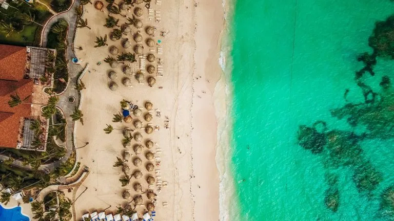 Aerial view of a beach in the Dominican Republic with turquoise waters. The sandy shore is lined with rows of beach umbrellas and lounge chairs. To the left, there are buildings and pathways surrounded by greenery, perfect for those looking to form an NGO in this tropical paradise. Some seaweed is visible in the water.