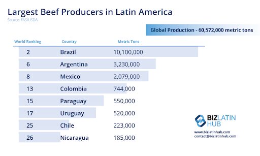 Um gráfico que mostra os maiores produtores de carne bovina da América Latina.
O Brasil lidera com 10.100.000 toneladas métricas, seguido pela Argentina, com 3.230.000 toneladas métricas, e pelo México, com 2.079.000 toneladas métricas.
Colômbia, Paraguai, Uruguai, Chile e Nicarágua também estão na lista.
Os esforços para a produção de carne neutra em carbono estão crescendo.   