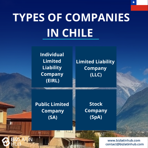 back office services in Chile: types of company