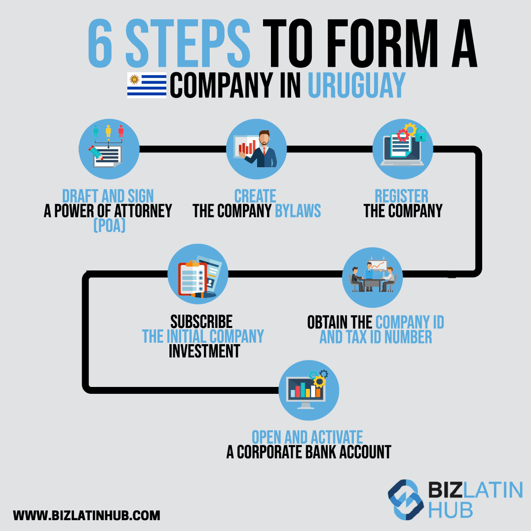 Zonas de livre comércio no Uruguai: Infográfico intitulado "6 etapas para a constituição de uma empresa no Uruguai". As etapas incluem: Redigir e assinar uma procuração, criar o estatuto social da empresa, registrar a empresa, obter a identificação da empresa e o número de identificação fiscal, subscrever o investimento inicial da empresa, abrir e ativar uma conta bancária corporativa. O logotipo do BizLatin Hub está no canto inferior direito.  