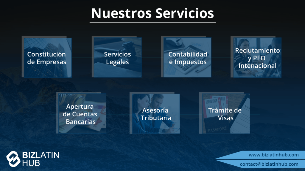 A Biz Latin Hub infographic of the key services offered