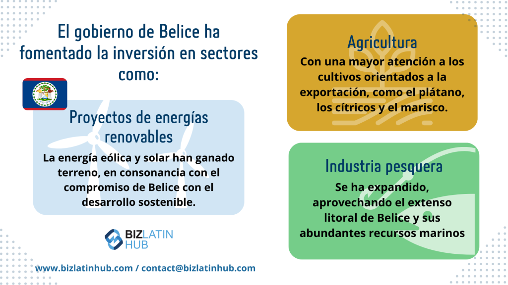 Gráfico informativo sobre los sectores de inversión de Belice. Destaca las estrategias fiscales de Belice en agricultura, proyectos de energías renovables y la industria pesquera. Incluye la bandera de Belice y el logotipo de Biz Latin Hub. Información de contacto en la parte inferior: contact@bizlatinhub.com.   